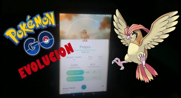 evolucion-de-pidgey-evolucionando